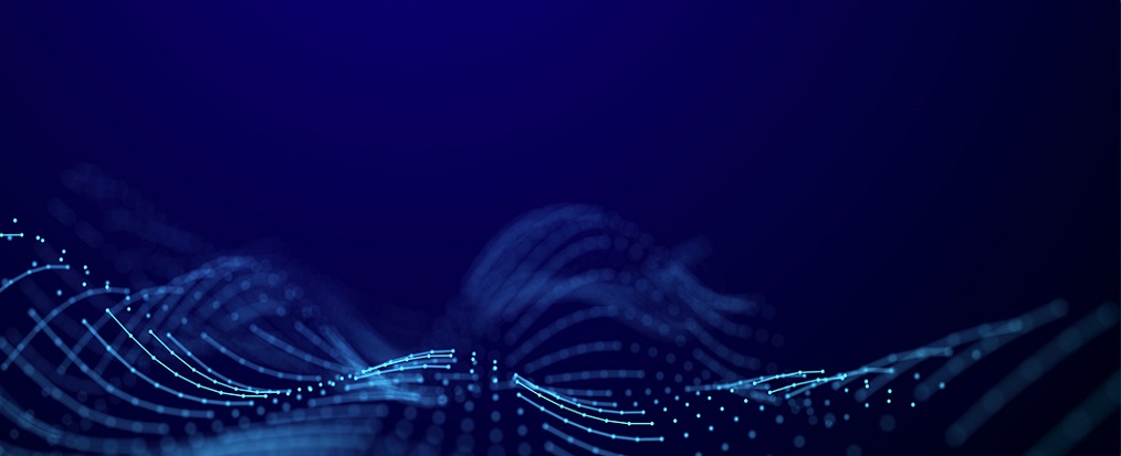 NetSuite Services Brochure